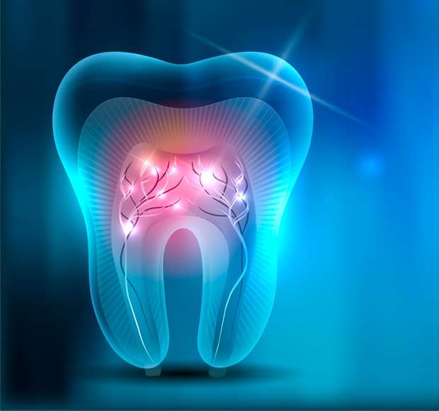 Endodoncia